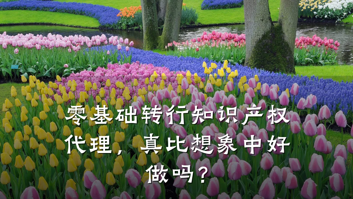 零基础转行知识产权代理，真比想象中好做吗？