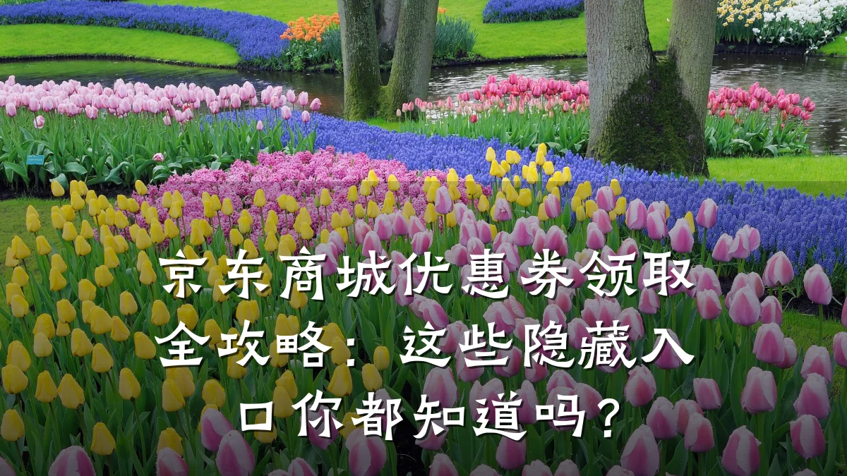 京东商城优惠券领取全攻略:这些隐藏入口你都知道吗?