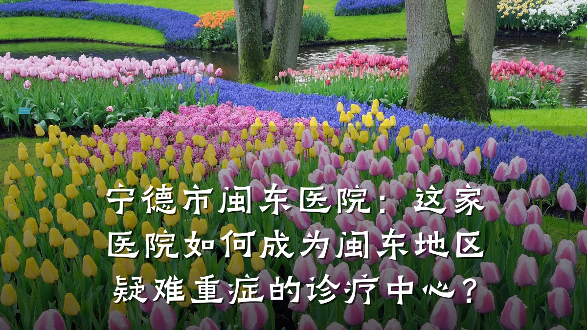 宁德市闽东医院：这家医院如何成为闽东地区疑难重症的诊疗中心？