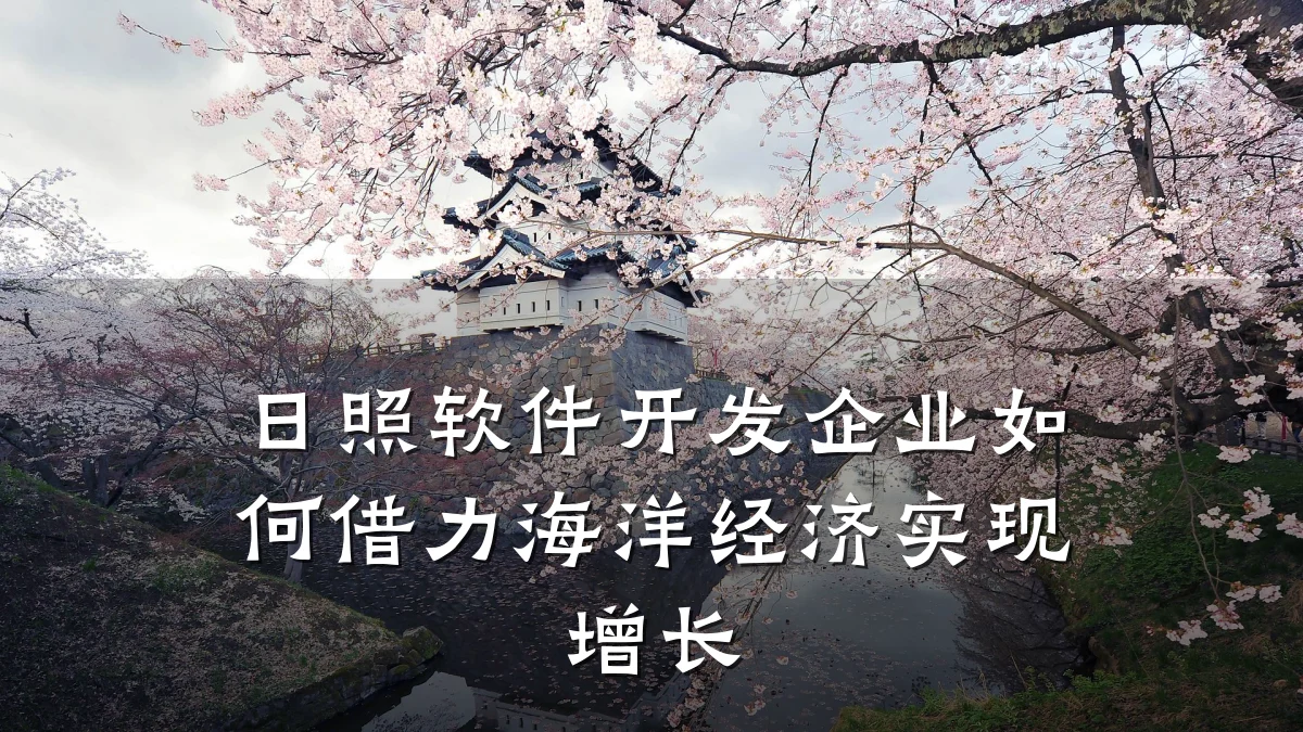日照软件开发企业如何借力海洋经济实现增长