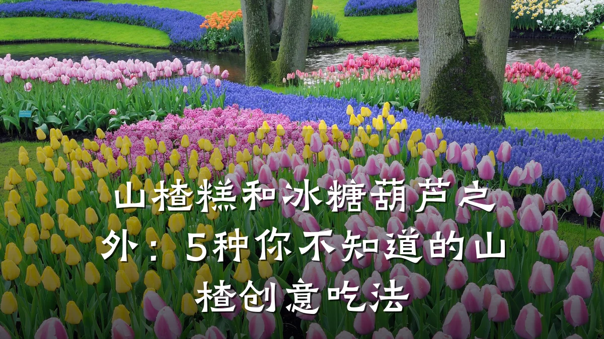山楂糕和冰糖葫芦之外：5种你不知道的山楂创意吃法