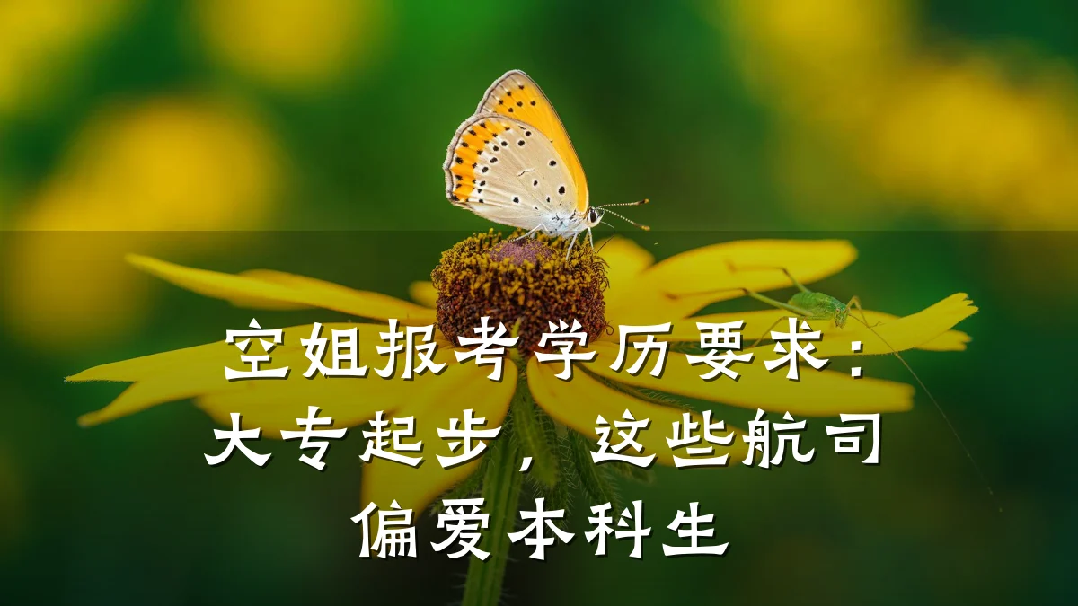 空姐报考学历要求:大专起步,这些航司偏爱本科生