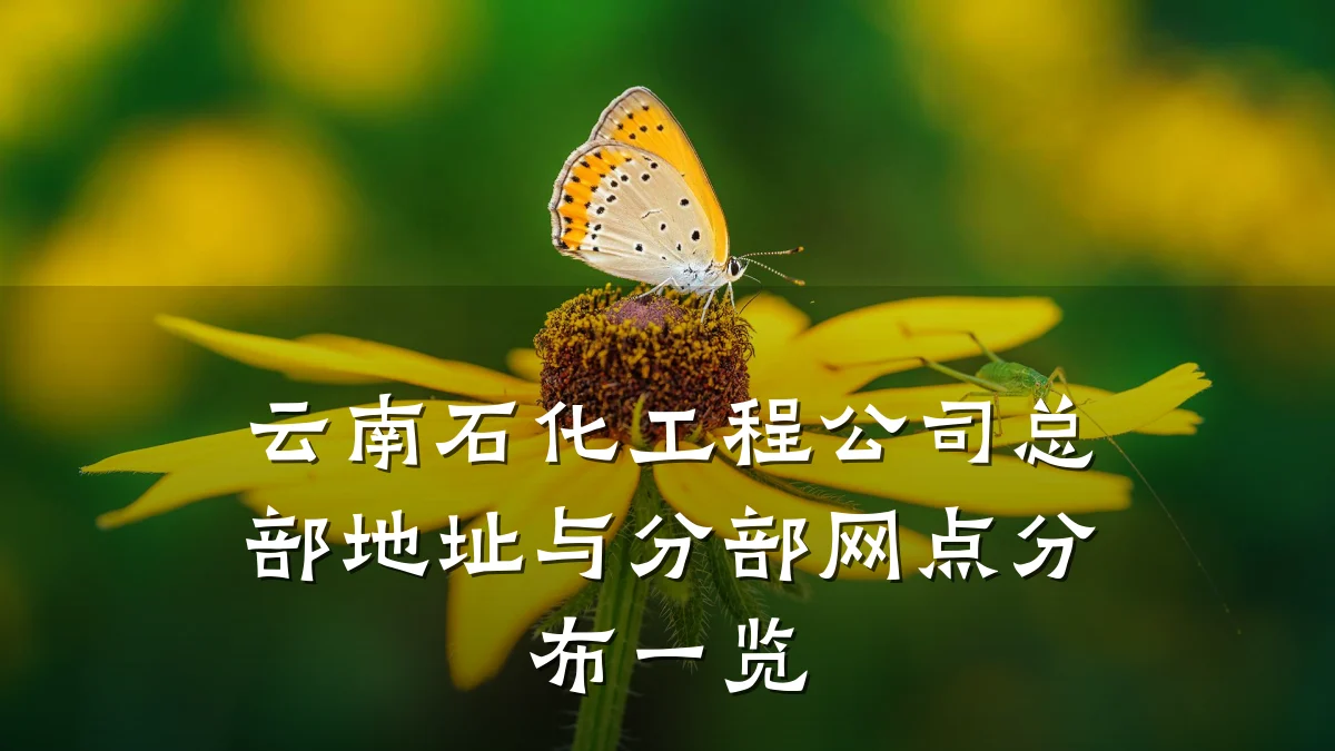 云南石化工程公司总部地址与分部网点分布一览
