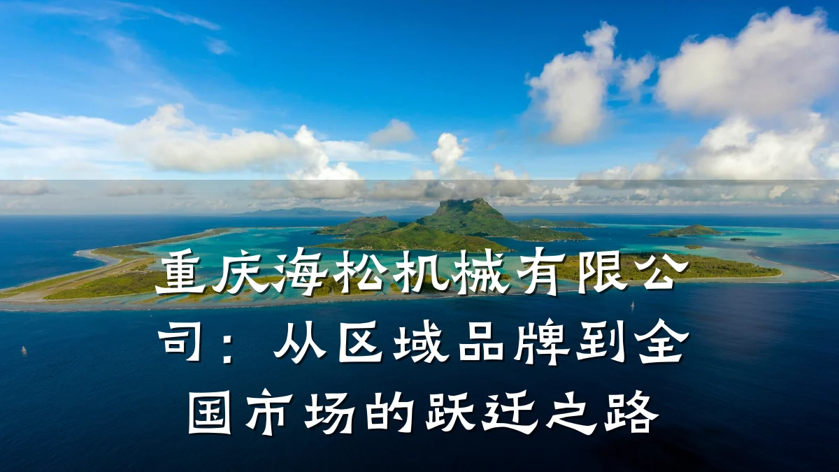 重庆海松机械有限公司:从区域品牌到全国市场的跃迁之路
