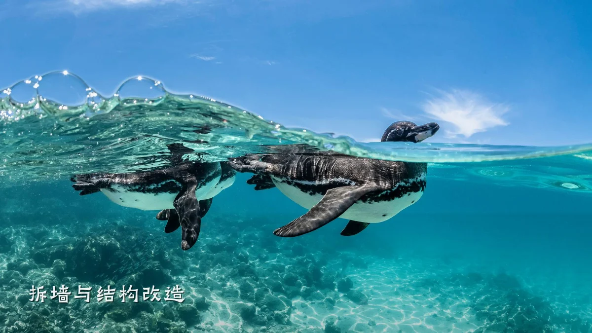 拆墙与结构改造