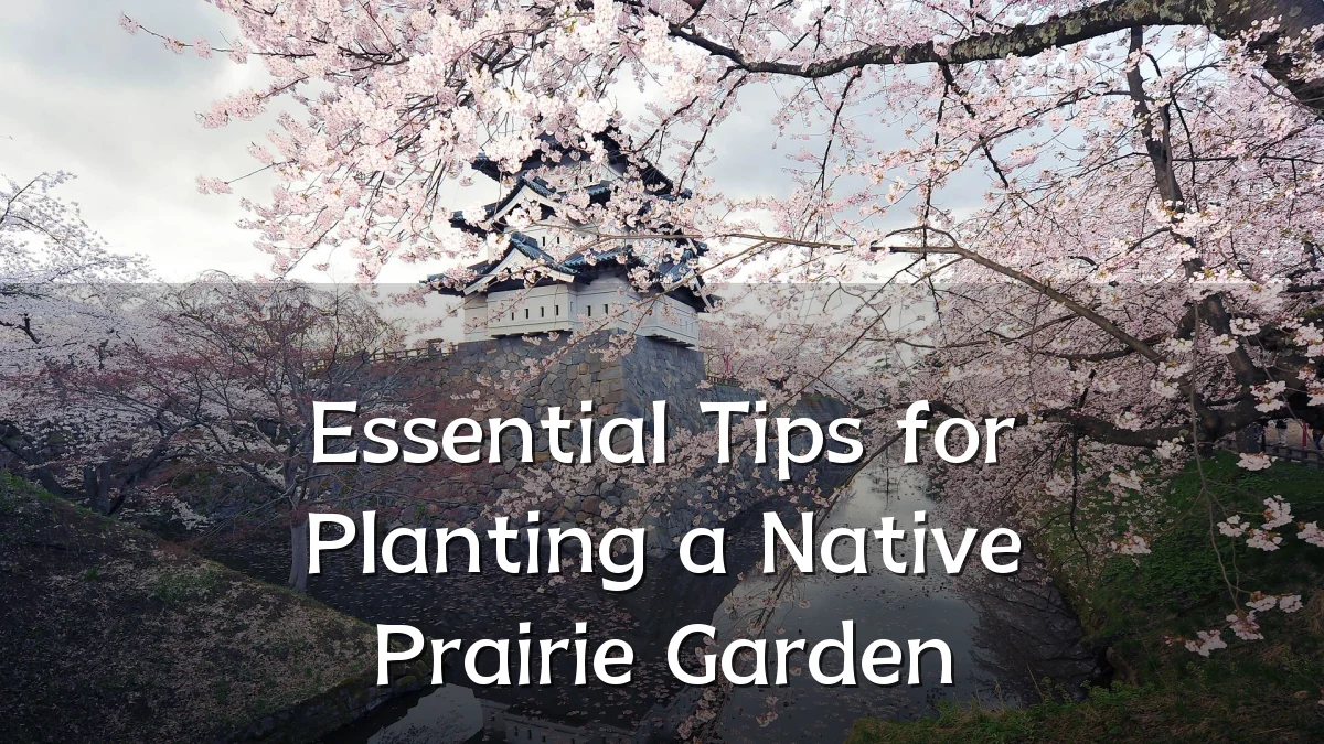 Essential Tips for Planting a Native Prairie Garden