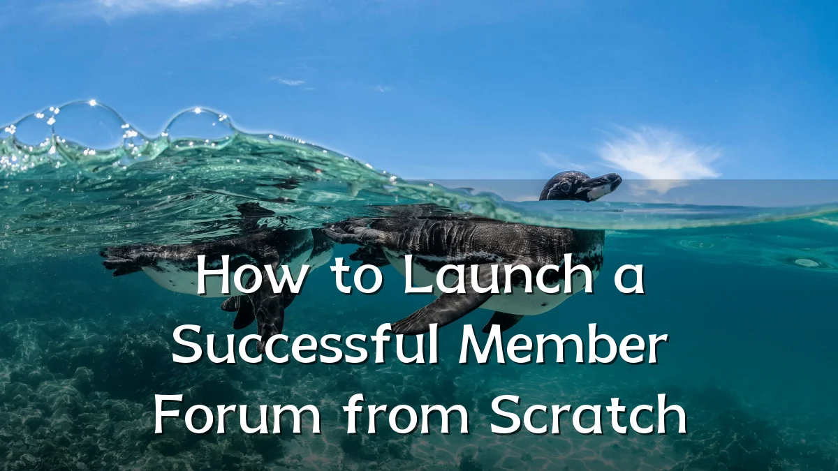 How to Launch a Successful Member Forum from Scratch