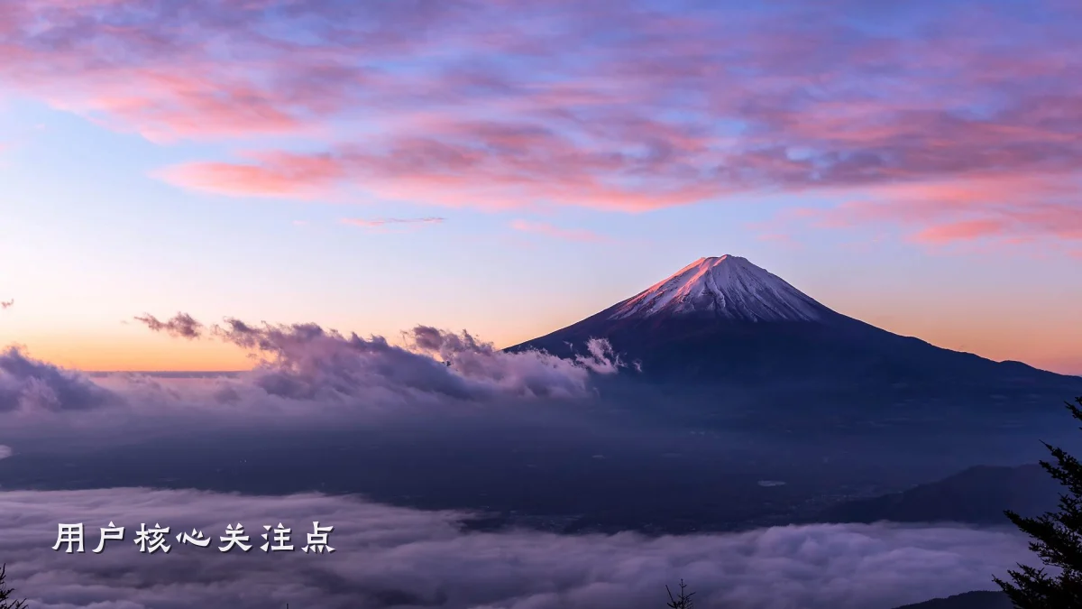 用户核心关注点