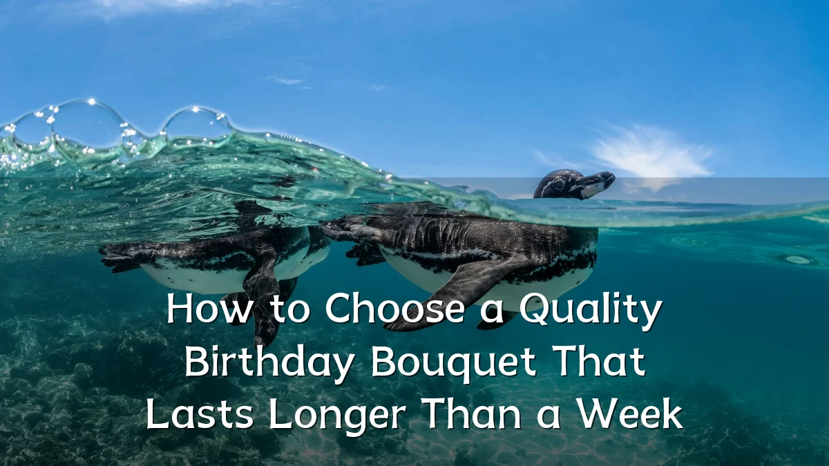 How to Choose a Quality Birthday Bouquet That Lasts Longer Than a Week