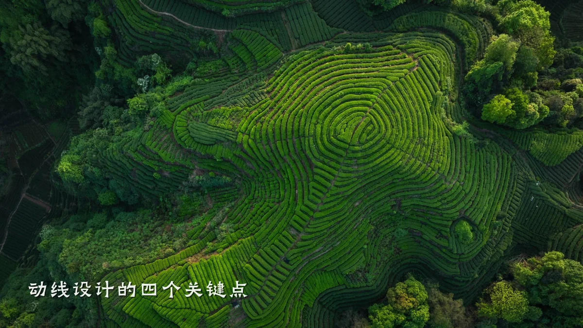动线设计的四个关键点