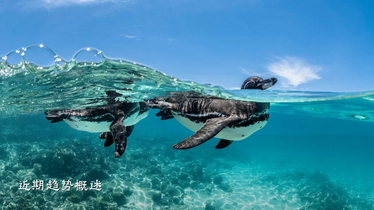 近期趋势概述