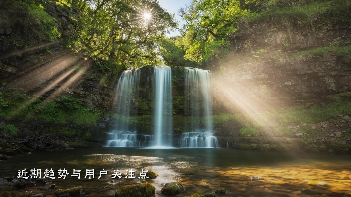 近期趋势与用户关注点