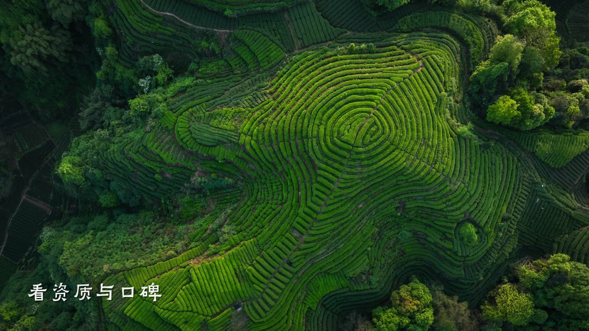 看资质与口碑