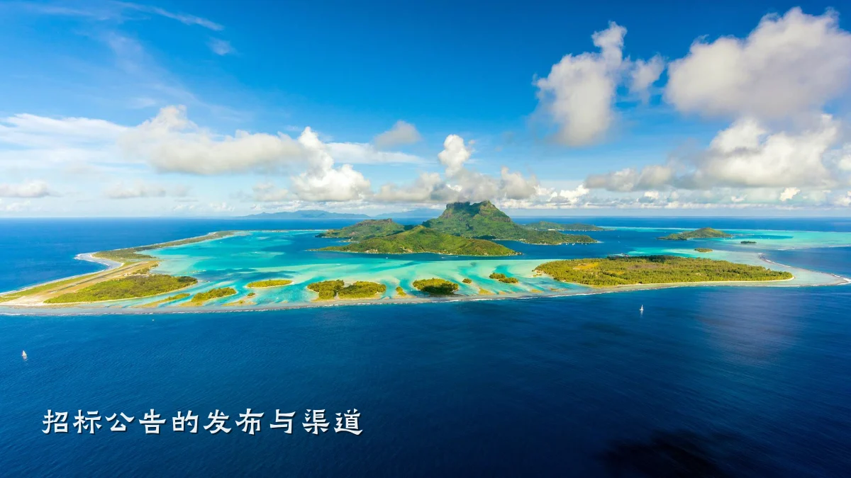 招标公告的发布与渠道