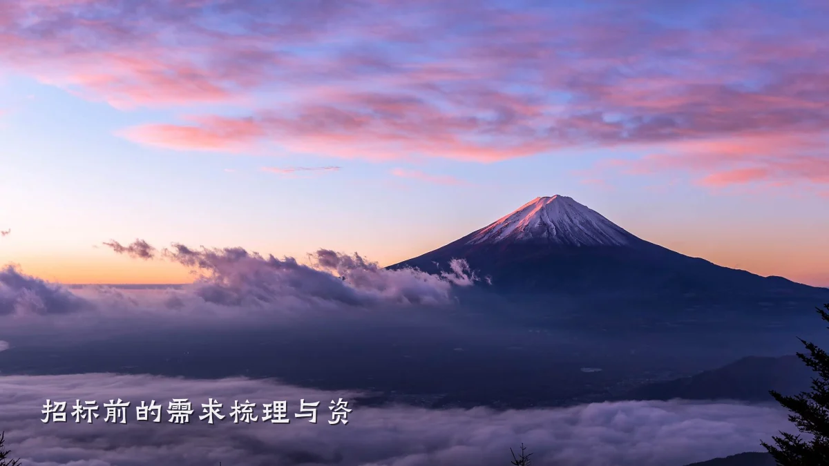 招标前的需求梳理与资