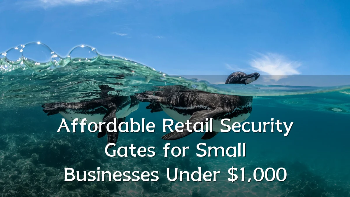 Affordable Retail Security Gates for Small Businesses Under $1,000