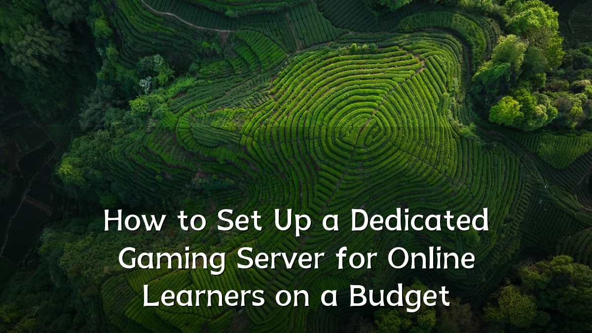 How to Set Up a Dedicated Gaming Server for Online Learners on a Budget