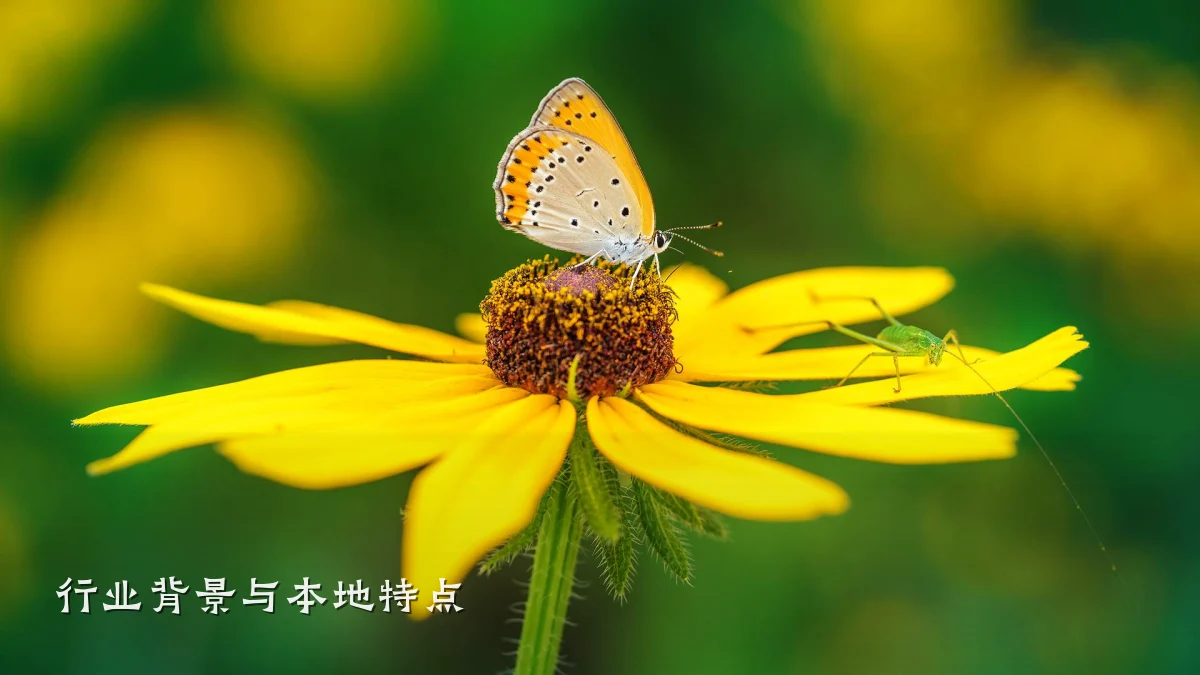 行业背景与本地特点
