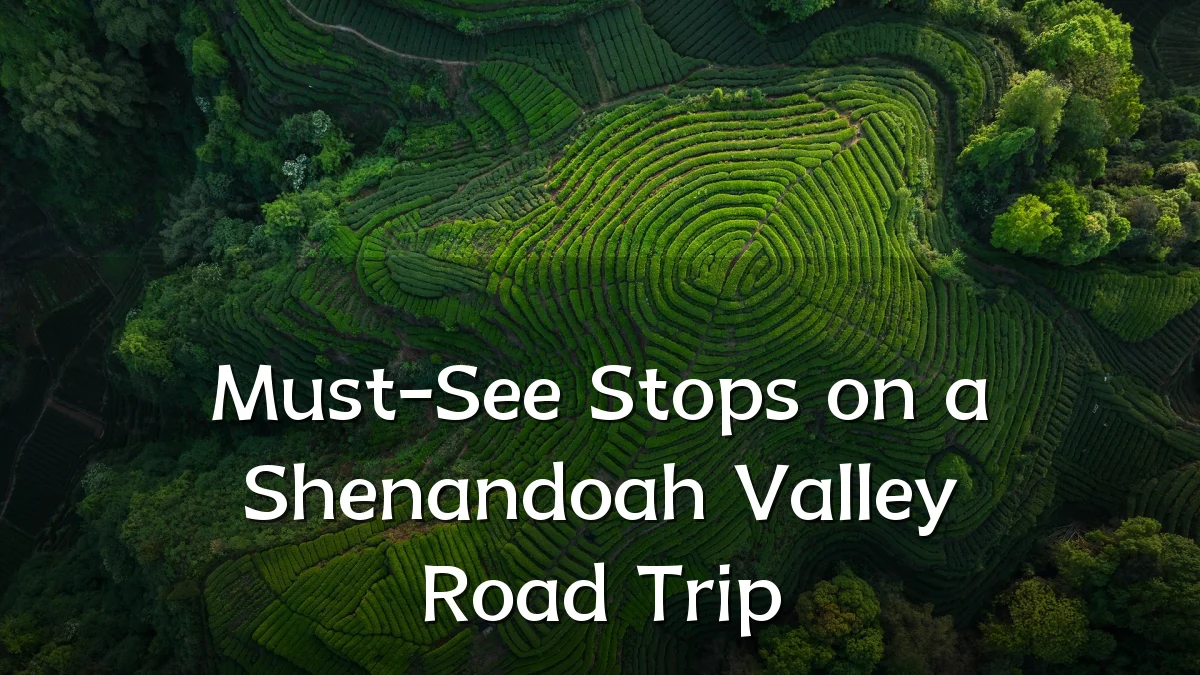 Must-See Stops on a Shenandoah Valley Road Trip