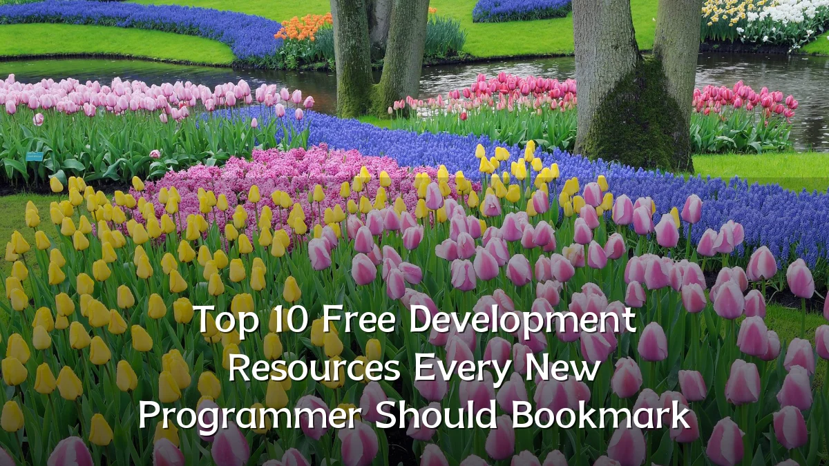 Top 10 Free Development Resources Every New Programmer Should Bookmark