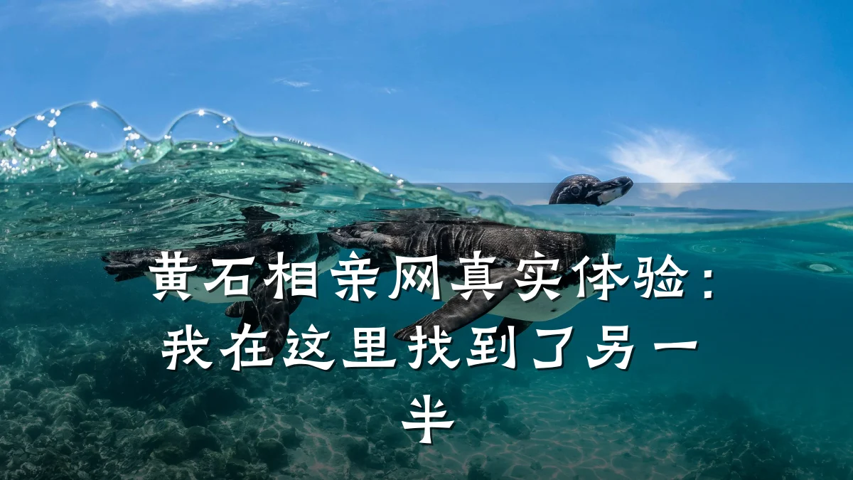 黄石相亲网真实体验:我在这里找到了另一半