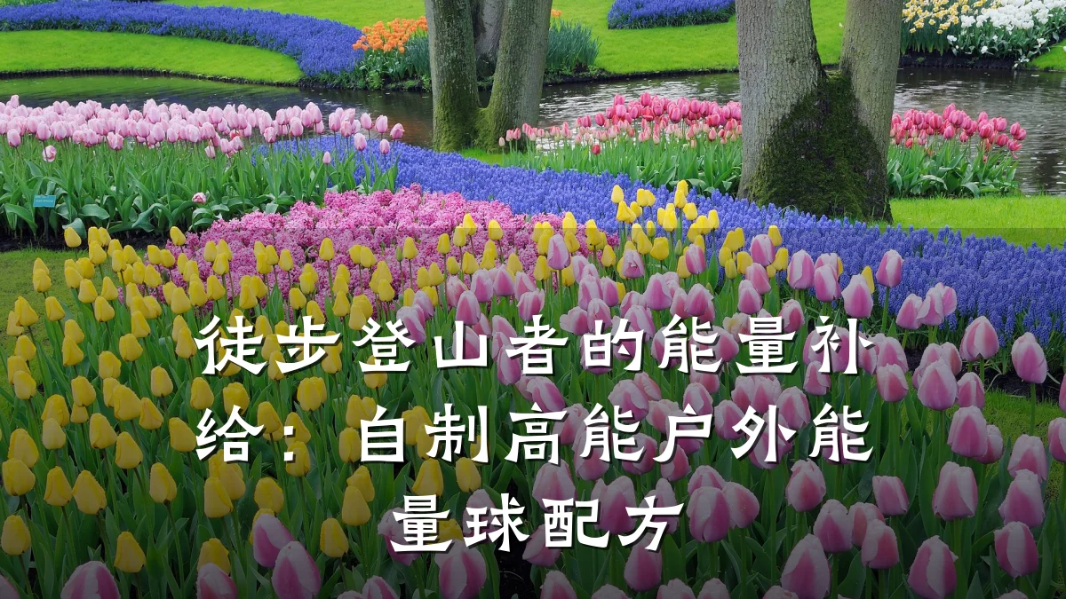 徒步登山者的能量补给:自制高能户外能量球配方