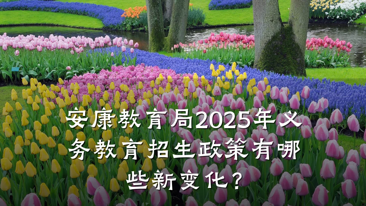 安康教育局2025年义务教育招生政策有哪些新变化？