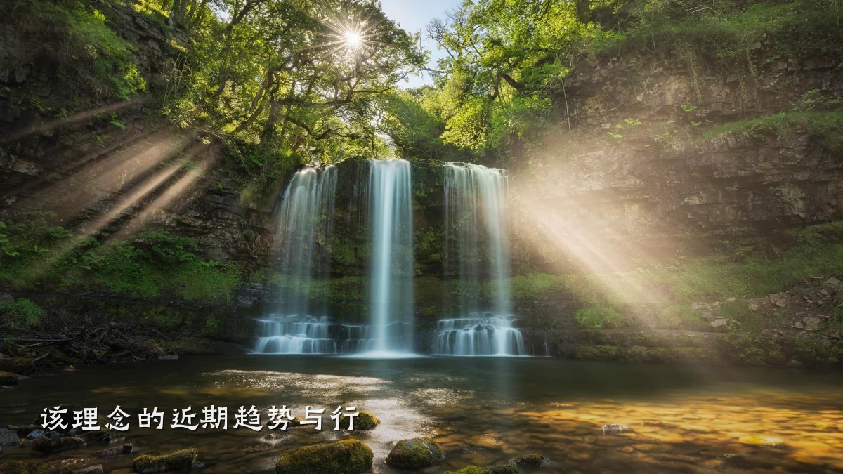 该理念的近期趋势与行