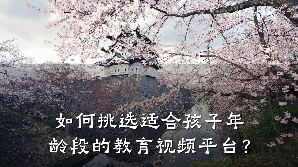 如何挑选适合孩子年龄段的教育视频平台？