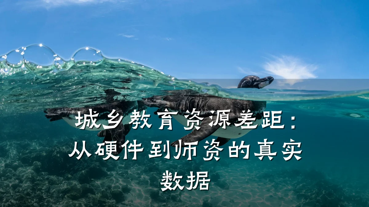 城乡教育资源差距：从硬件到师资的真实数据