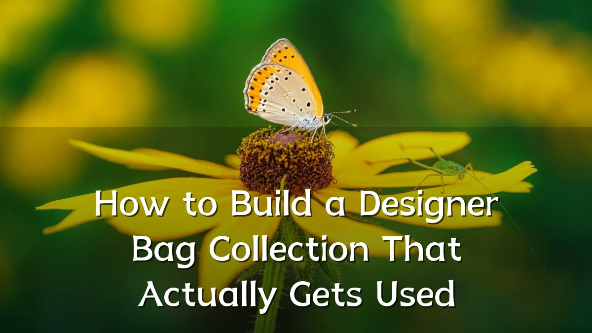 How to Build a Designer Bag Collection That Actually Gets Used