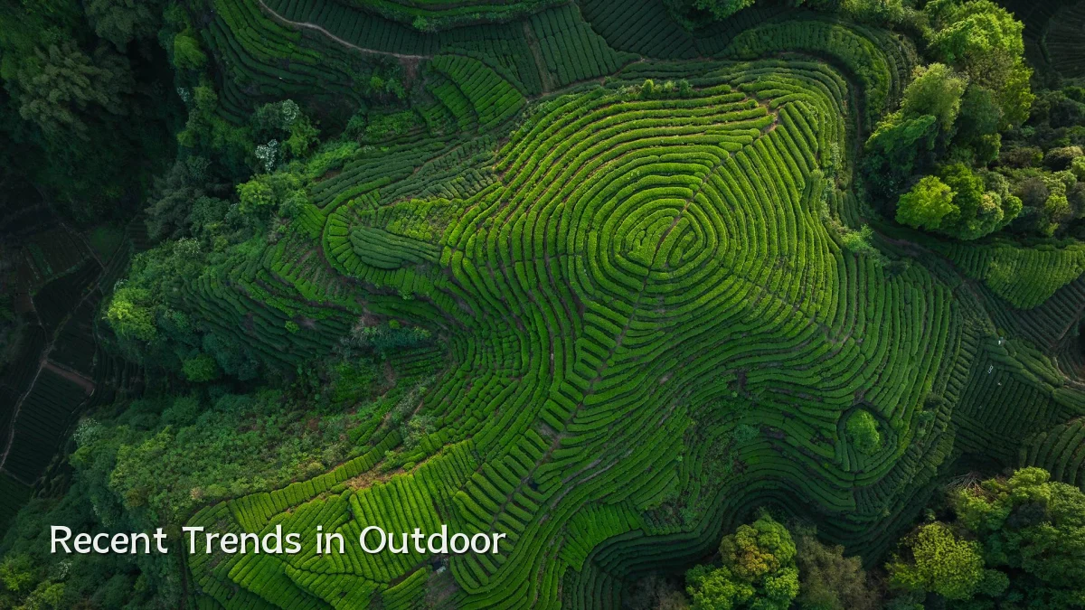 Recent Trends in Outdoor
